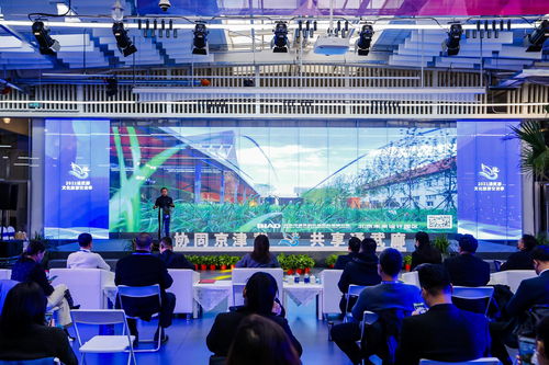 今起通武廊捧出 冬奧 文化體驗(yàn) 等15場文化活動(dòng)